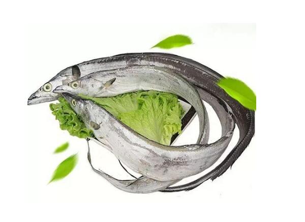 巴基斯坦冻带鱼进口报关清关代理服务【经典案例】