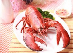 美洲冷冻螯龙虾进口报关代理服务【经典案例】