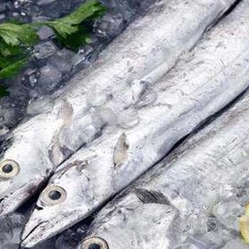 印尼冻带鱼进口报关